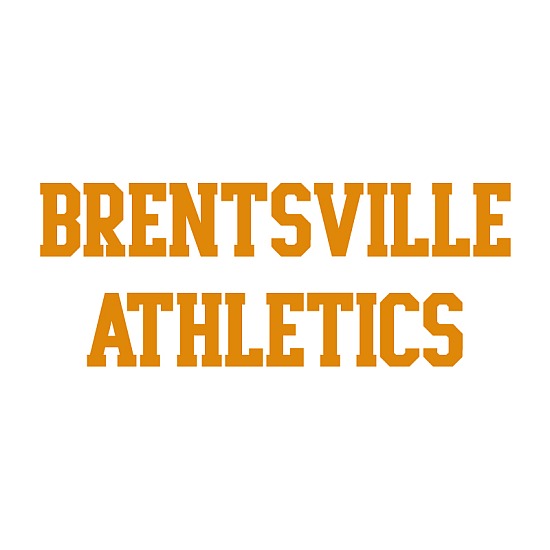 BDHS Fall Sports